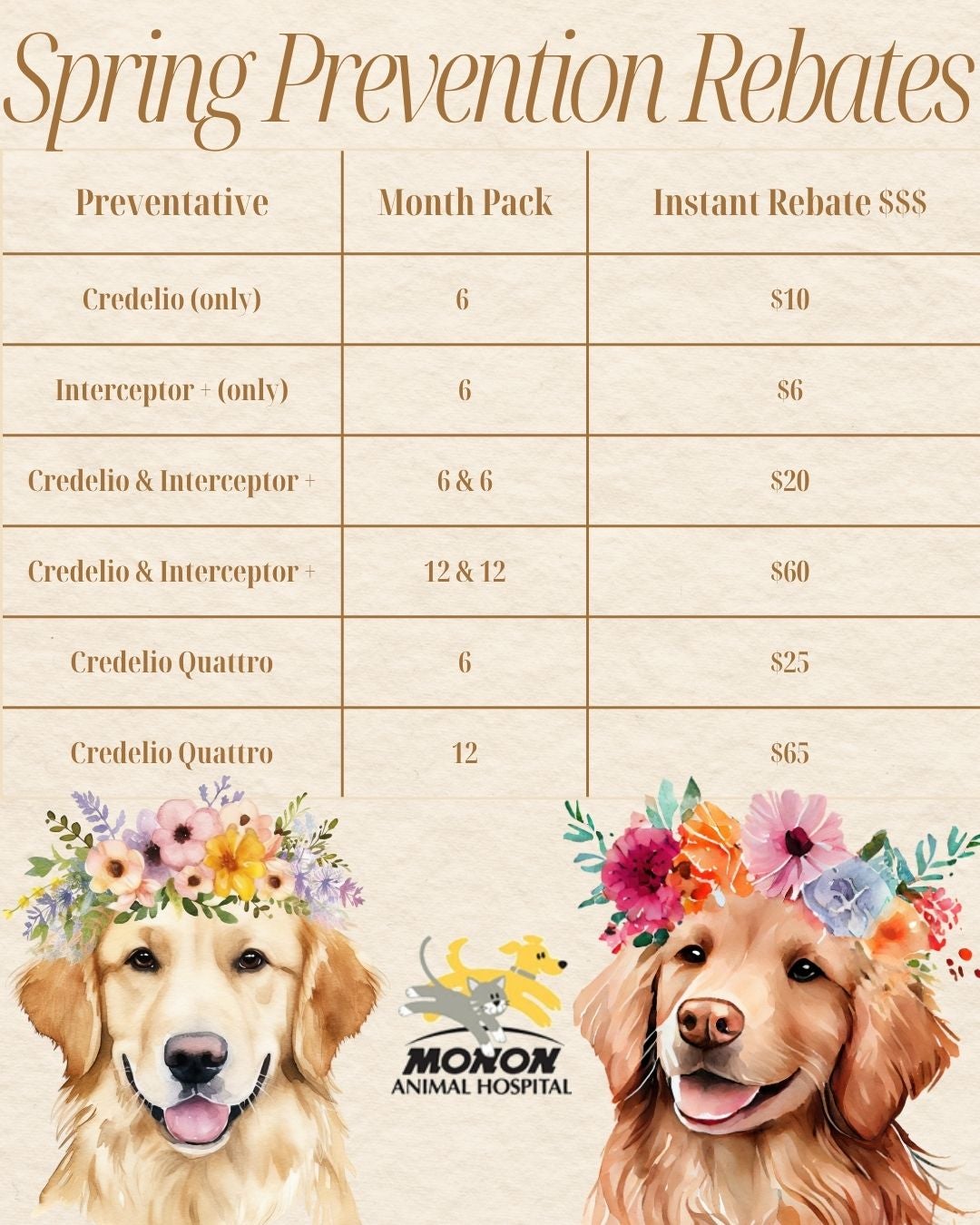 Spring Prevention Rebates